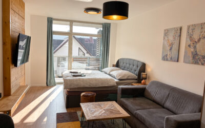 PRODEJ BYTU 1+KK, HARRACHOV